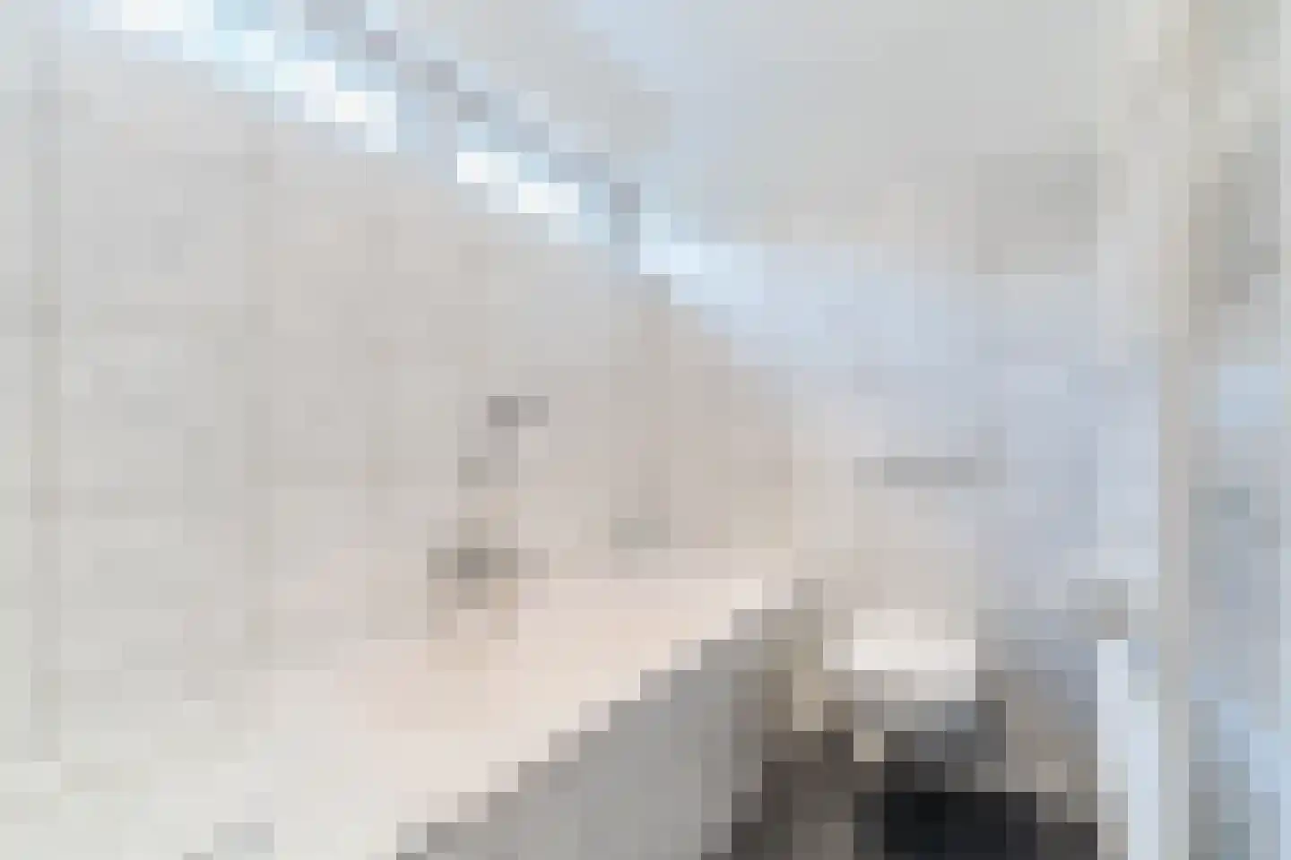 Molenakkers 5 Eersel thumbnail 44