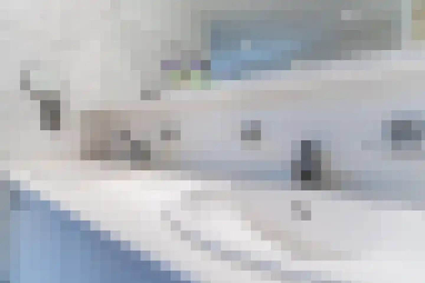 Molenakkers 5 Eersel thumbnail 46