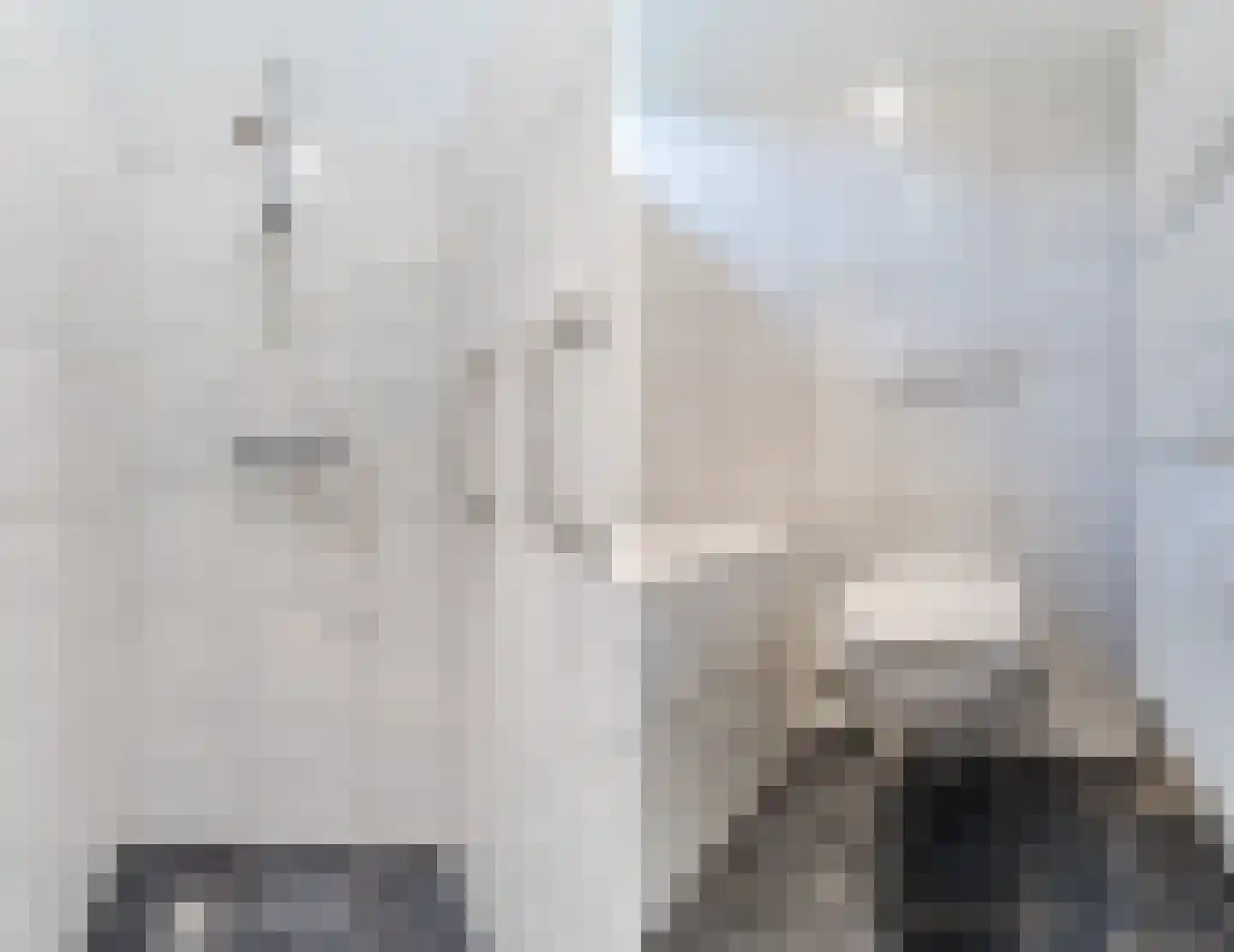 Molenakkers 5 Eersel thumbnail 48