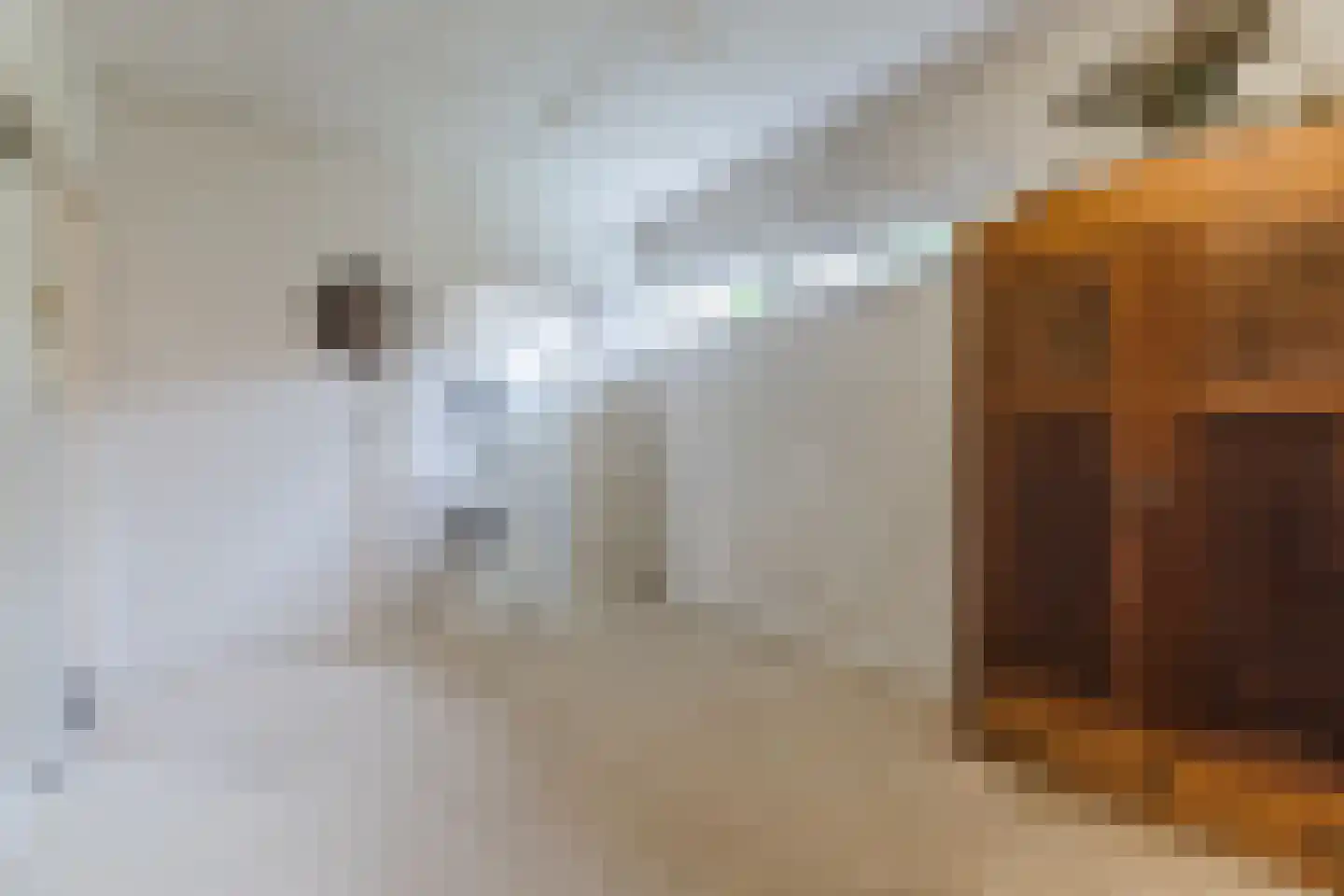 Molenakkers 5 Eersel thumbnail 49