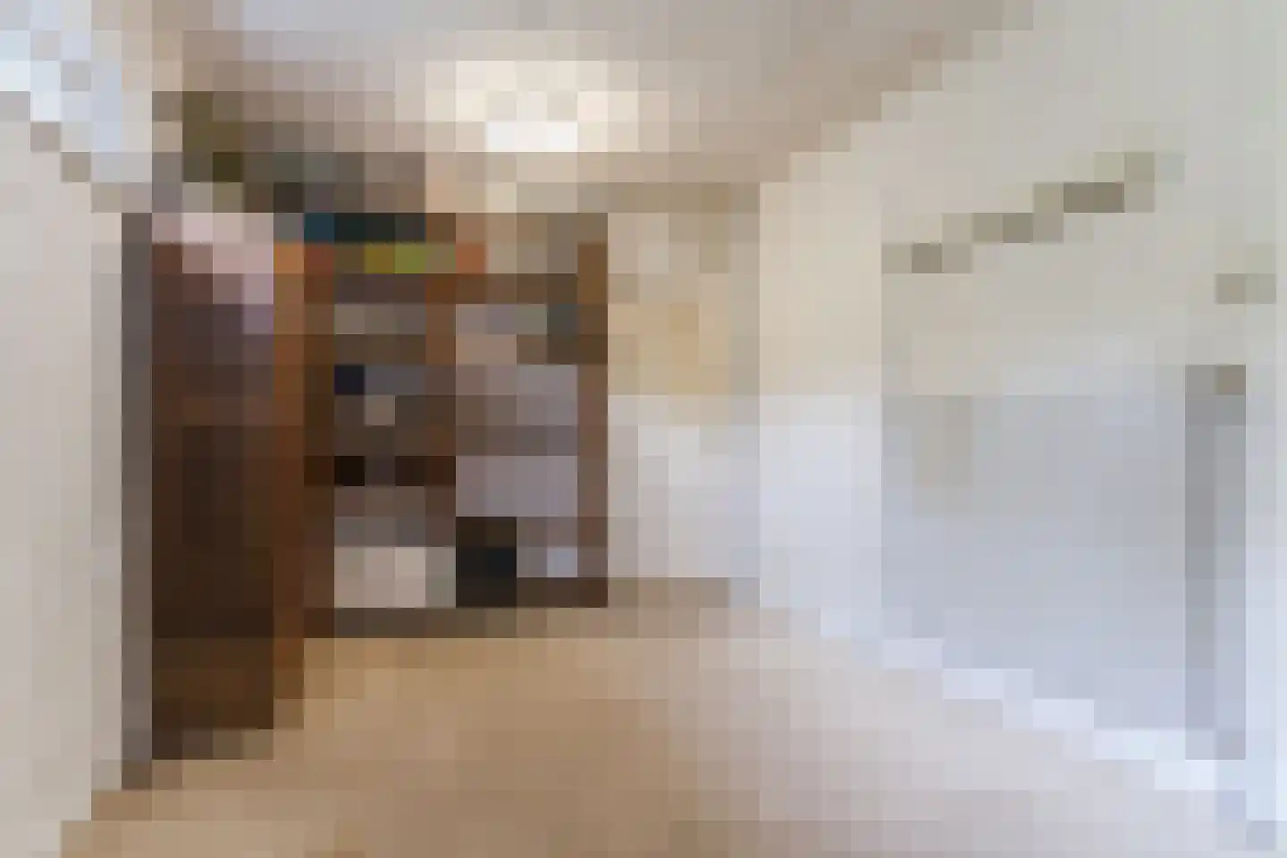Molenakkers 5 Eersel thumbnail 50
