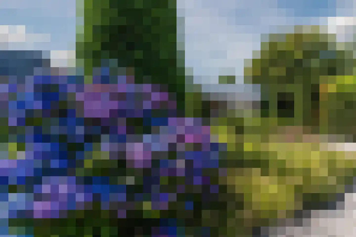 Molenakkers 5 Eersel thumbnail 54