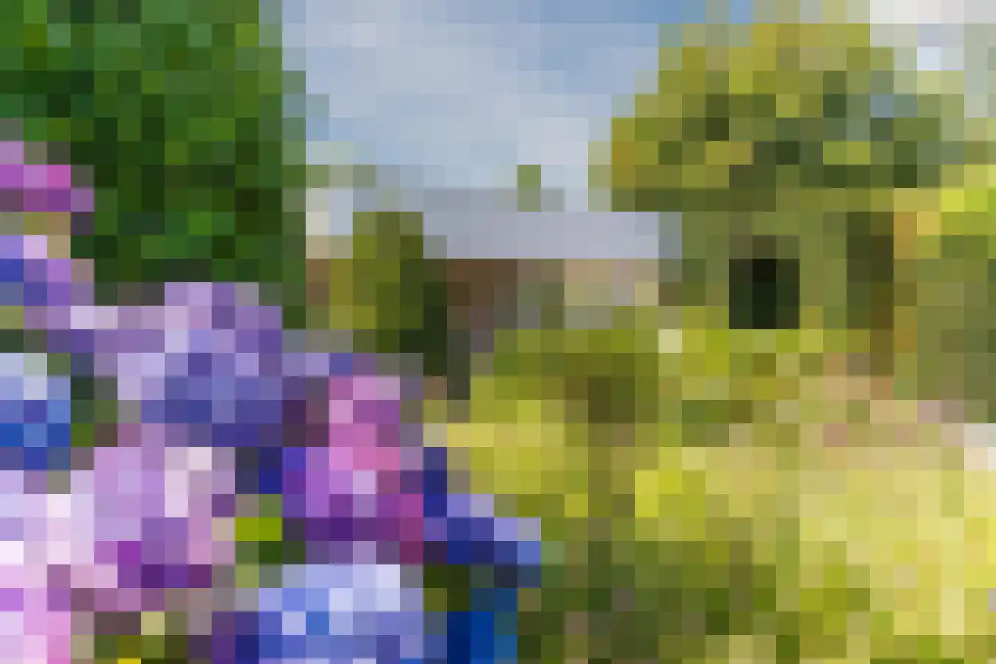 Molenakkers 5 Eersel thumbnail 57