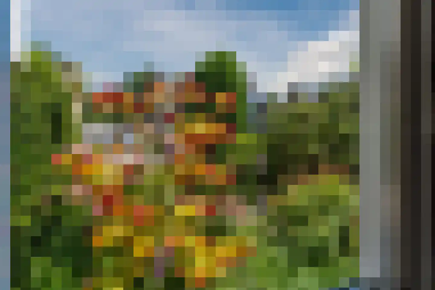 Molenakkers 5 Eersel thumbnail 58