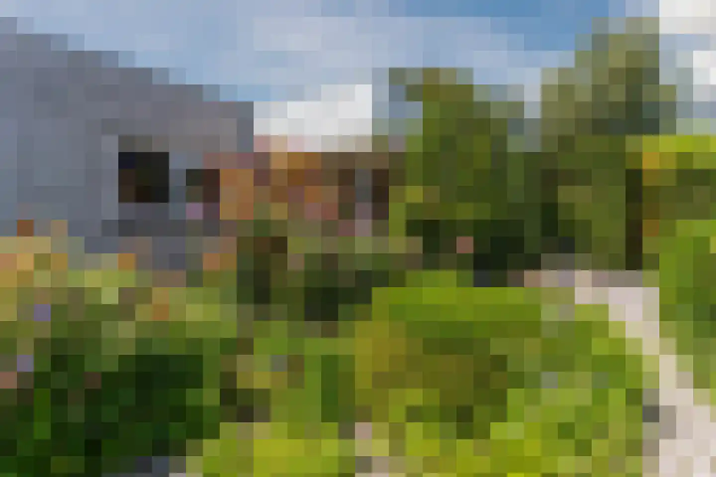 Molenakkers 5 Eersel thumbnail 60