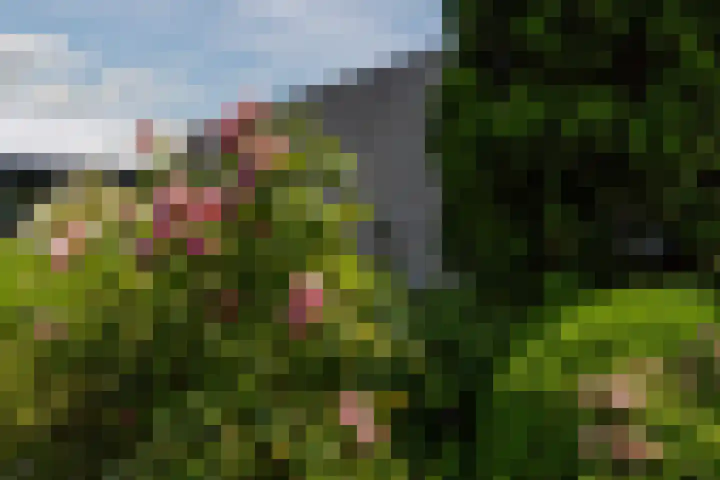 Molenakkers 5 Eersel thumbnail 64