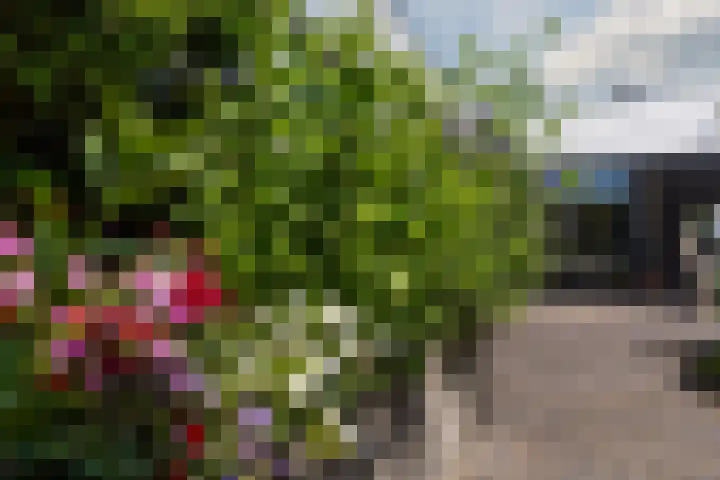 Molenakkers 5 Eersel thumbnail 65