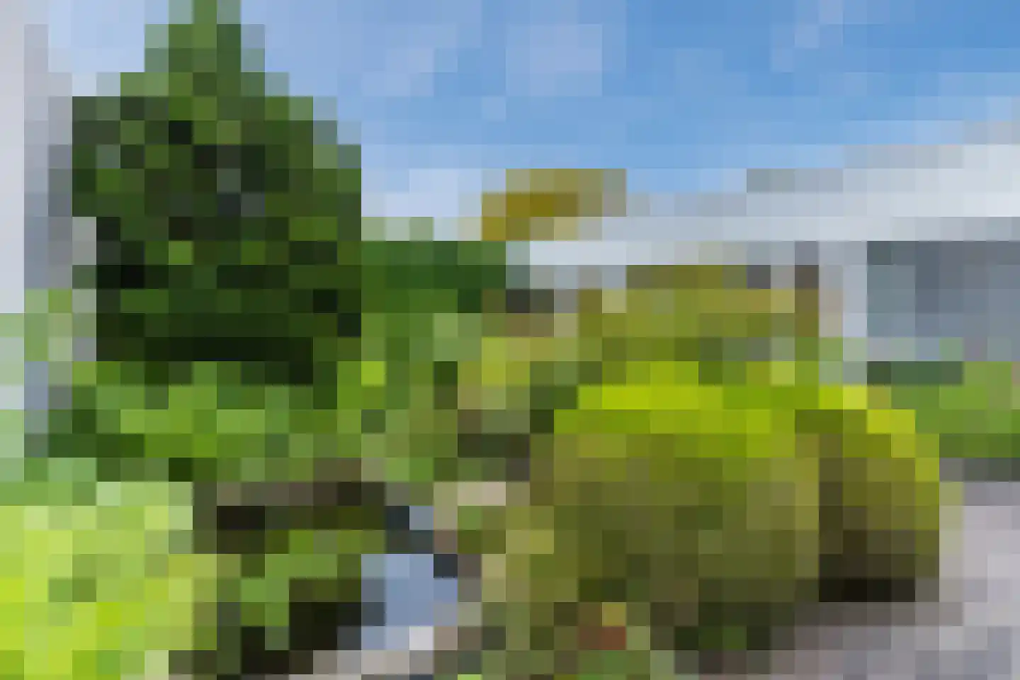 Molenakkers 5 Eersel thumbnail 7