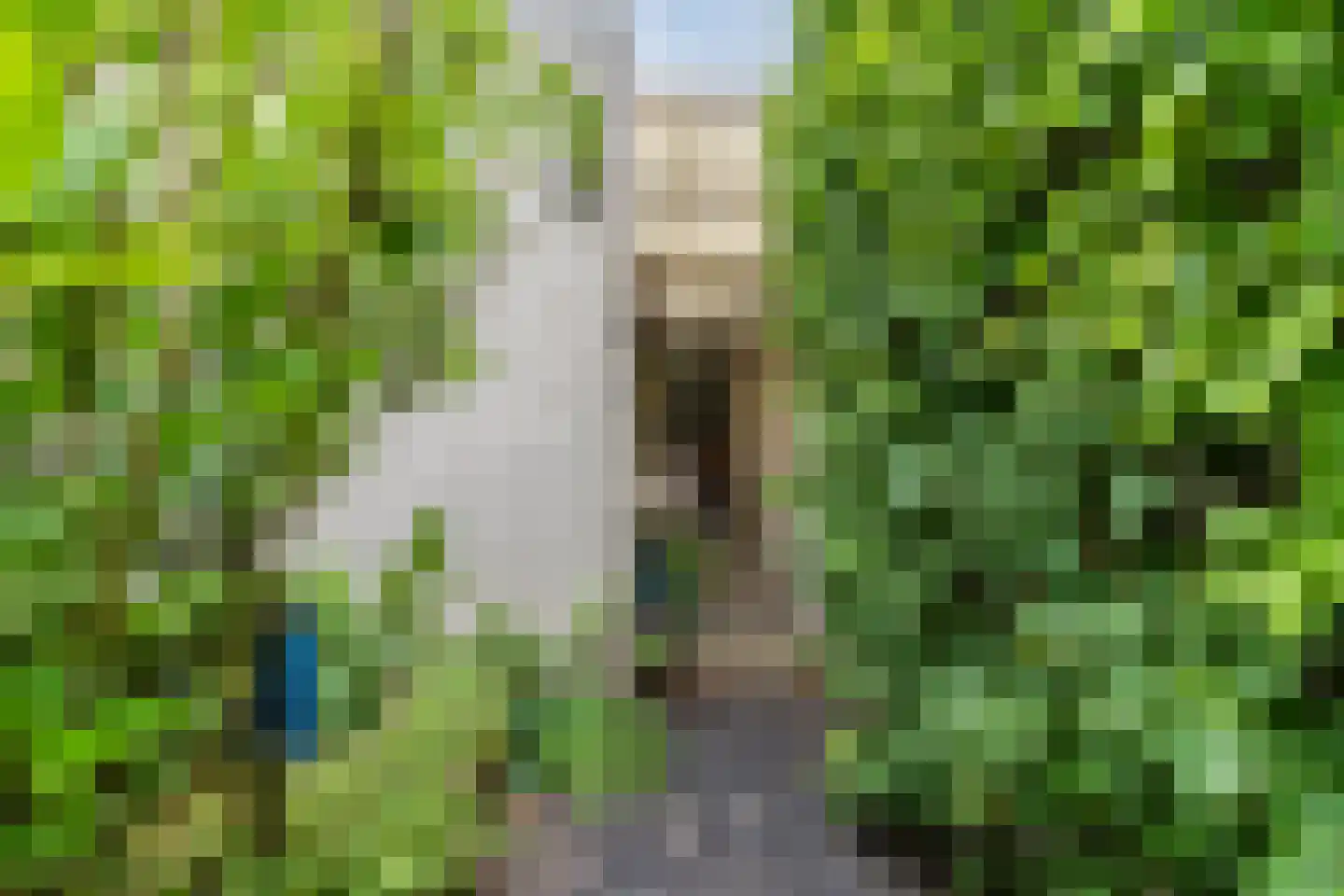 Molenakkers 5 Eersel thumbnail 70