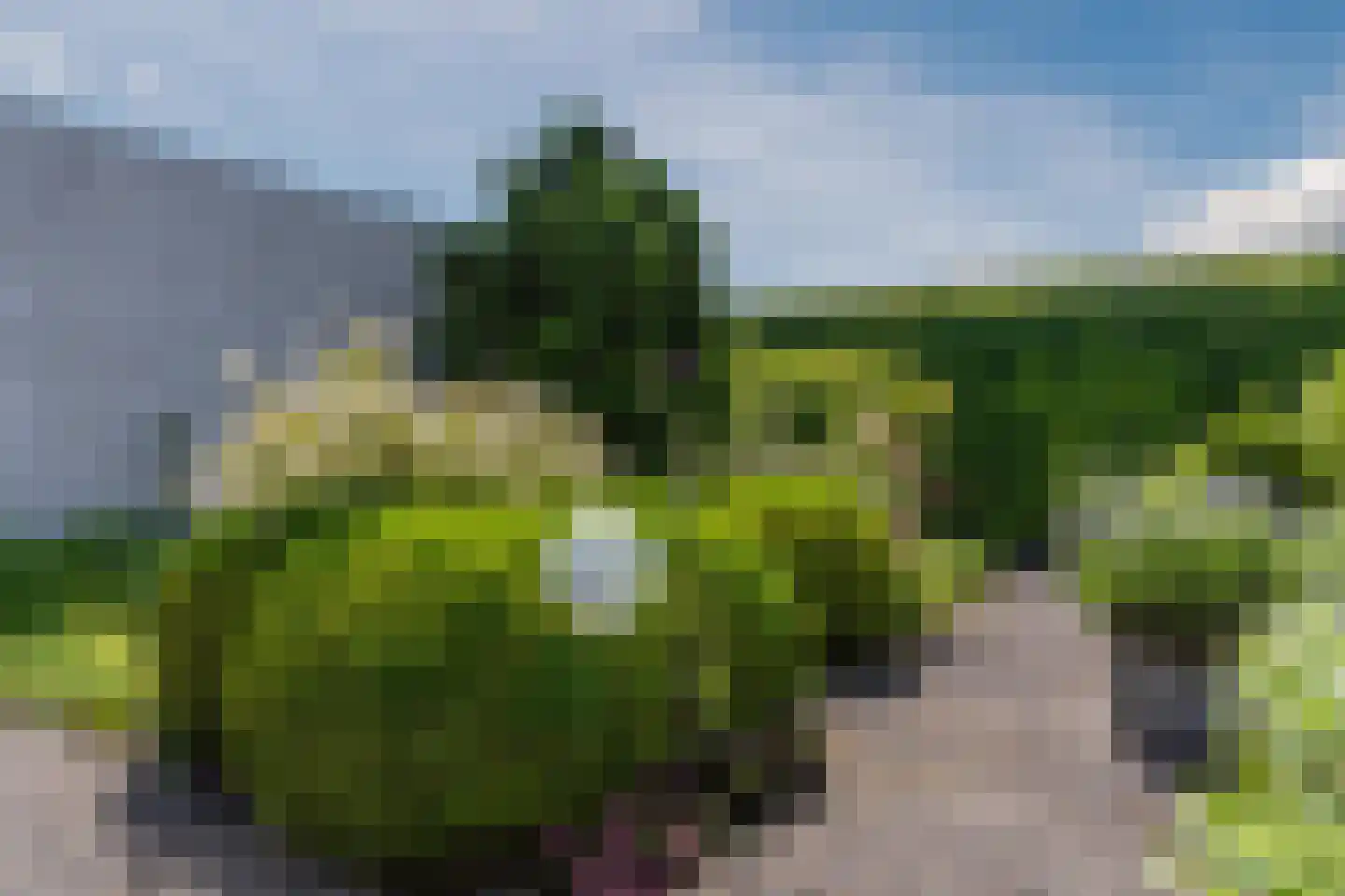 Molenakkers 5 Eersel thumbnail 71