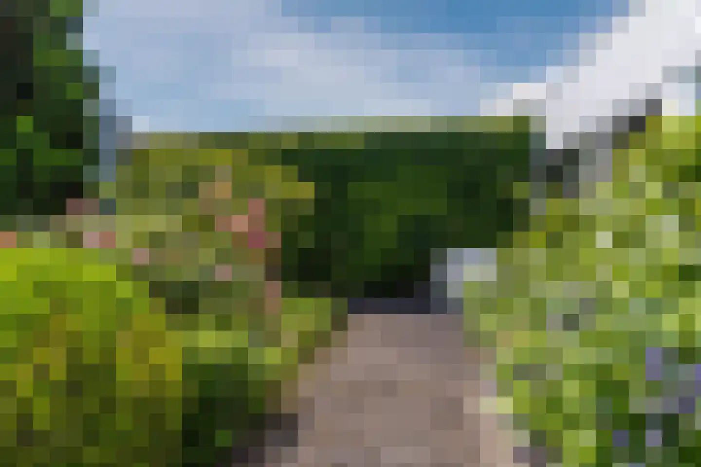 Molenakkers 5 Eersel thumbnail 73