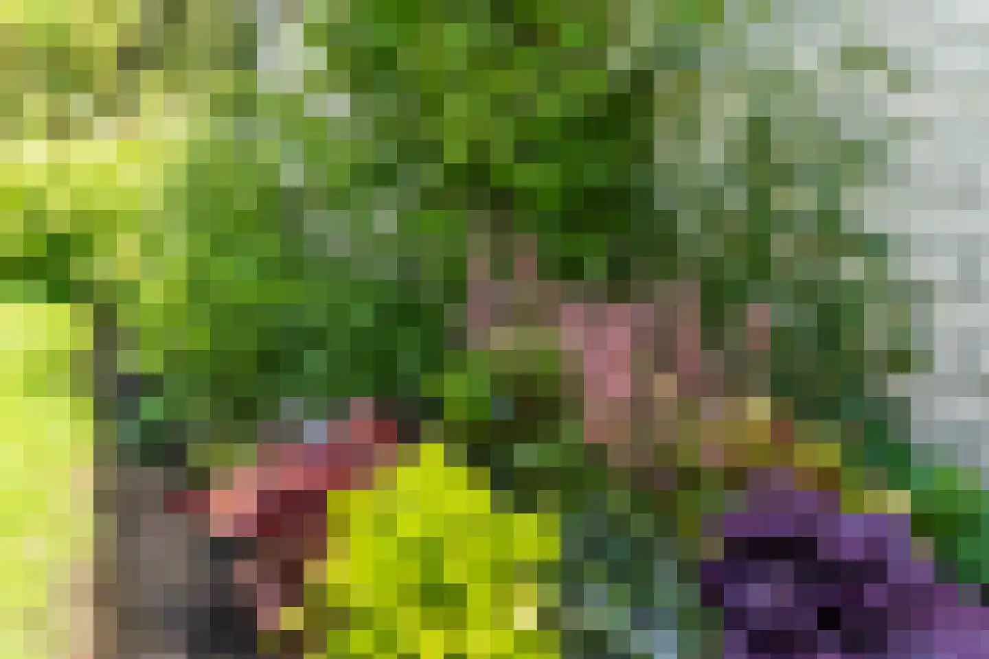 Molenakkers 5 Eersel thumbnail 75