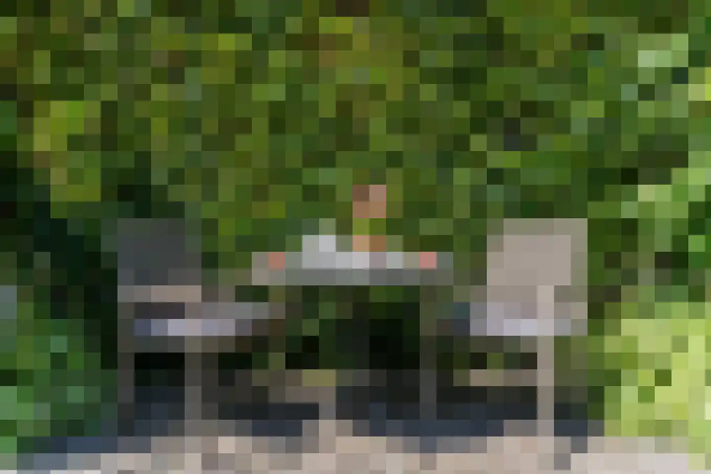 Molenakkers 5 Eersel thumbnail 76