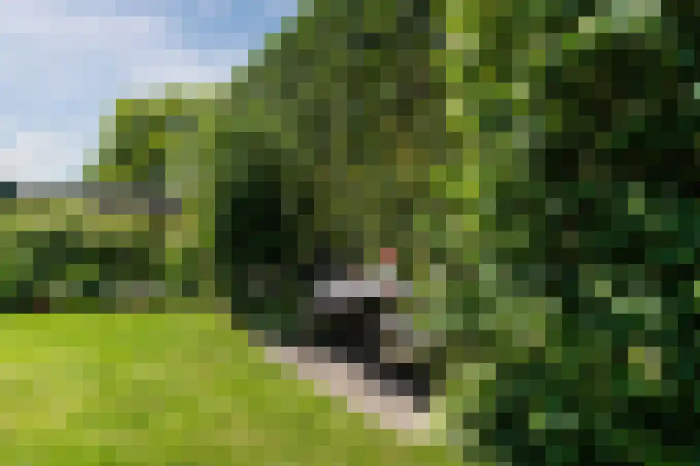 Molenakkers 5 Eersel thumbnail 77