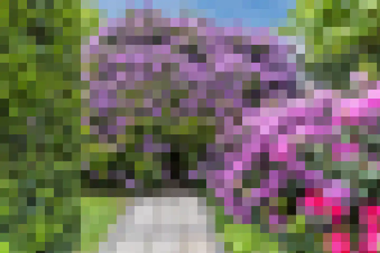 Molenakkers 5 Eersel thumbnail 78