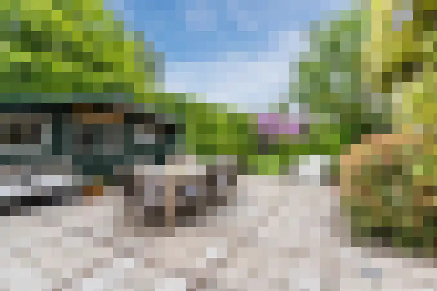Molenakkers 5 Eersel thumbnail 8