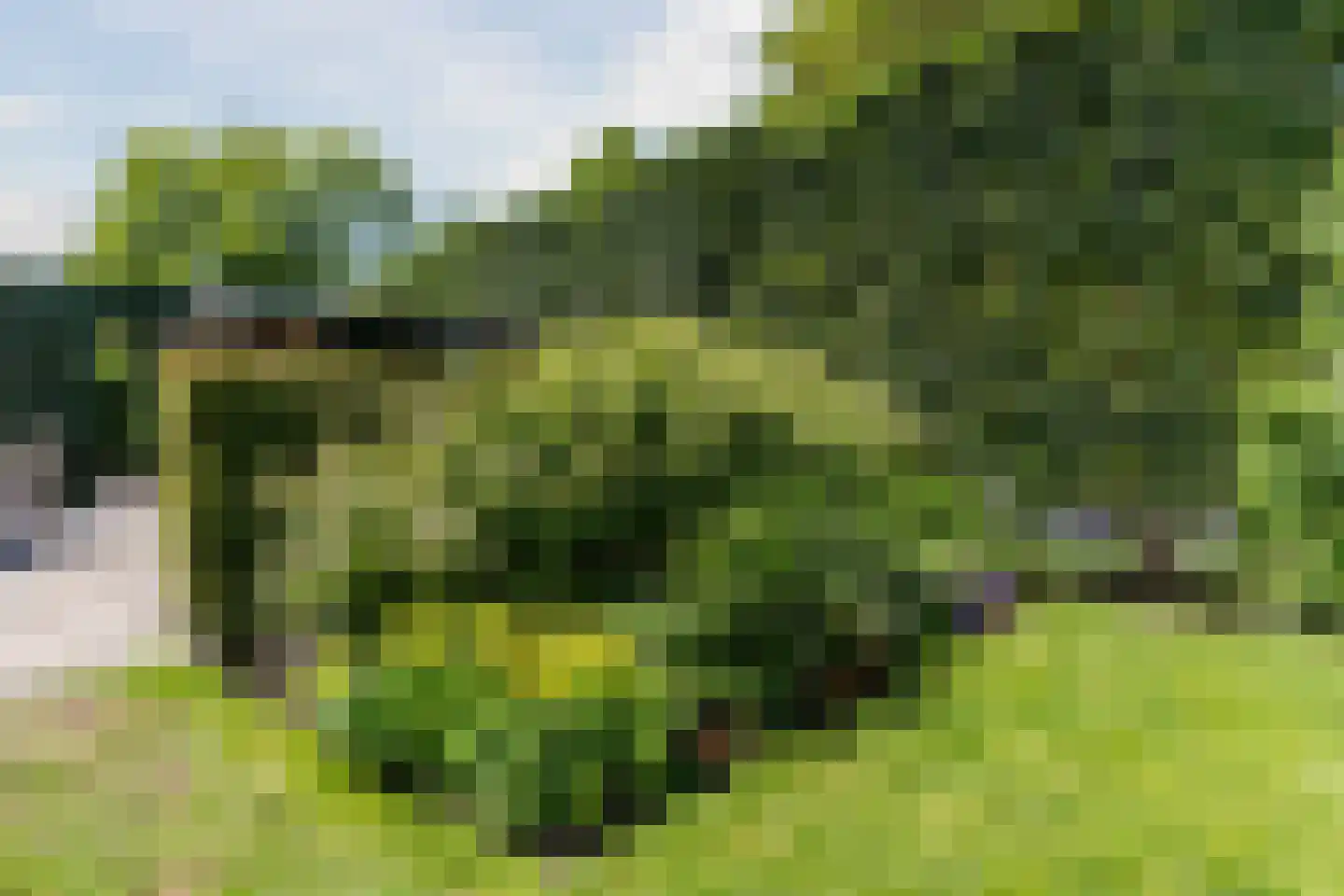 Molenakkers 5 Eersel thumbnail 81
