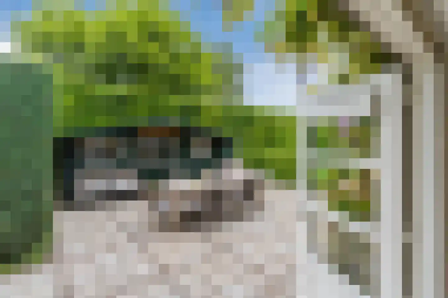 Molenakkers 5 Eersel thumbnail 83