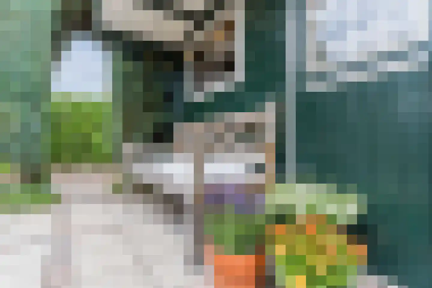 Molenakkers 5 Eersel thumbnail 86