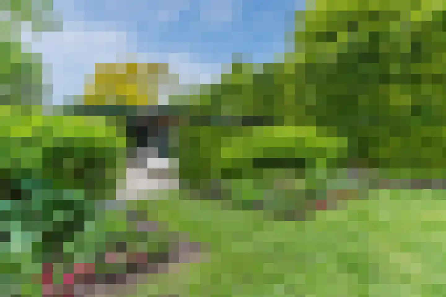 Molenakkers 5 Eersel thumbnail 87