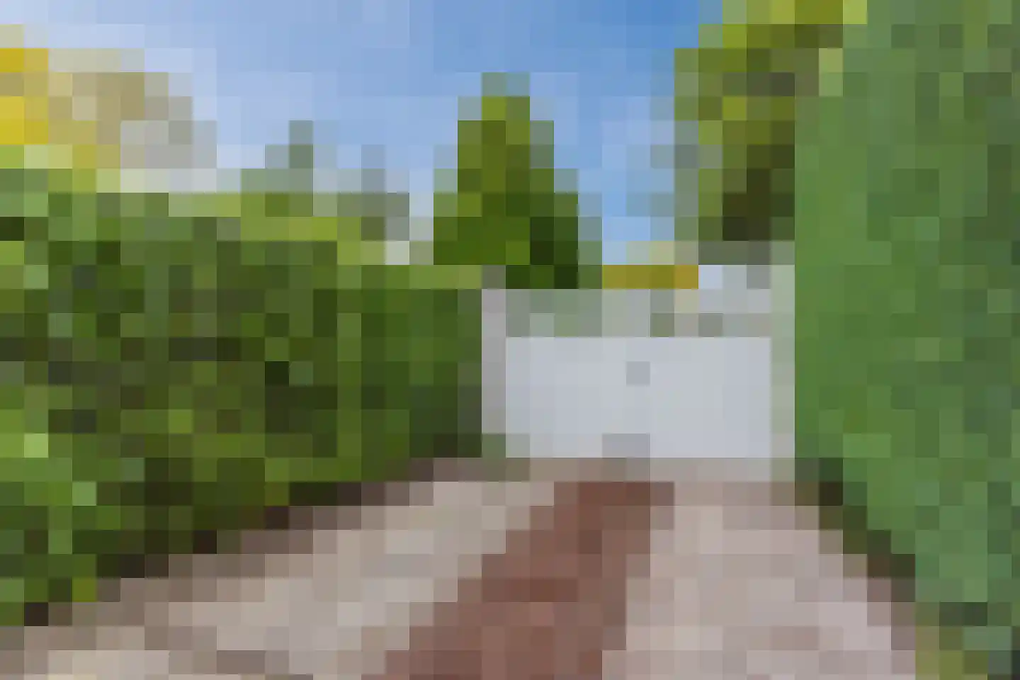 Molenakkers 5 Eersel thumbnail 88
