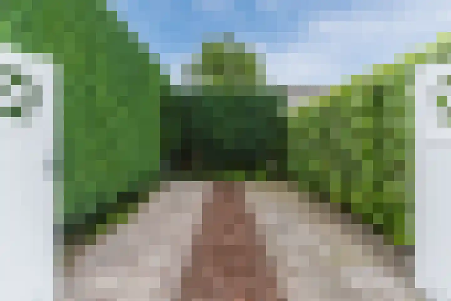 Molenakkers 5 Eersel thumbnail 89