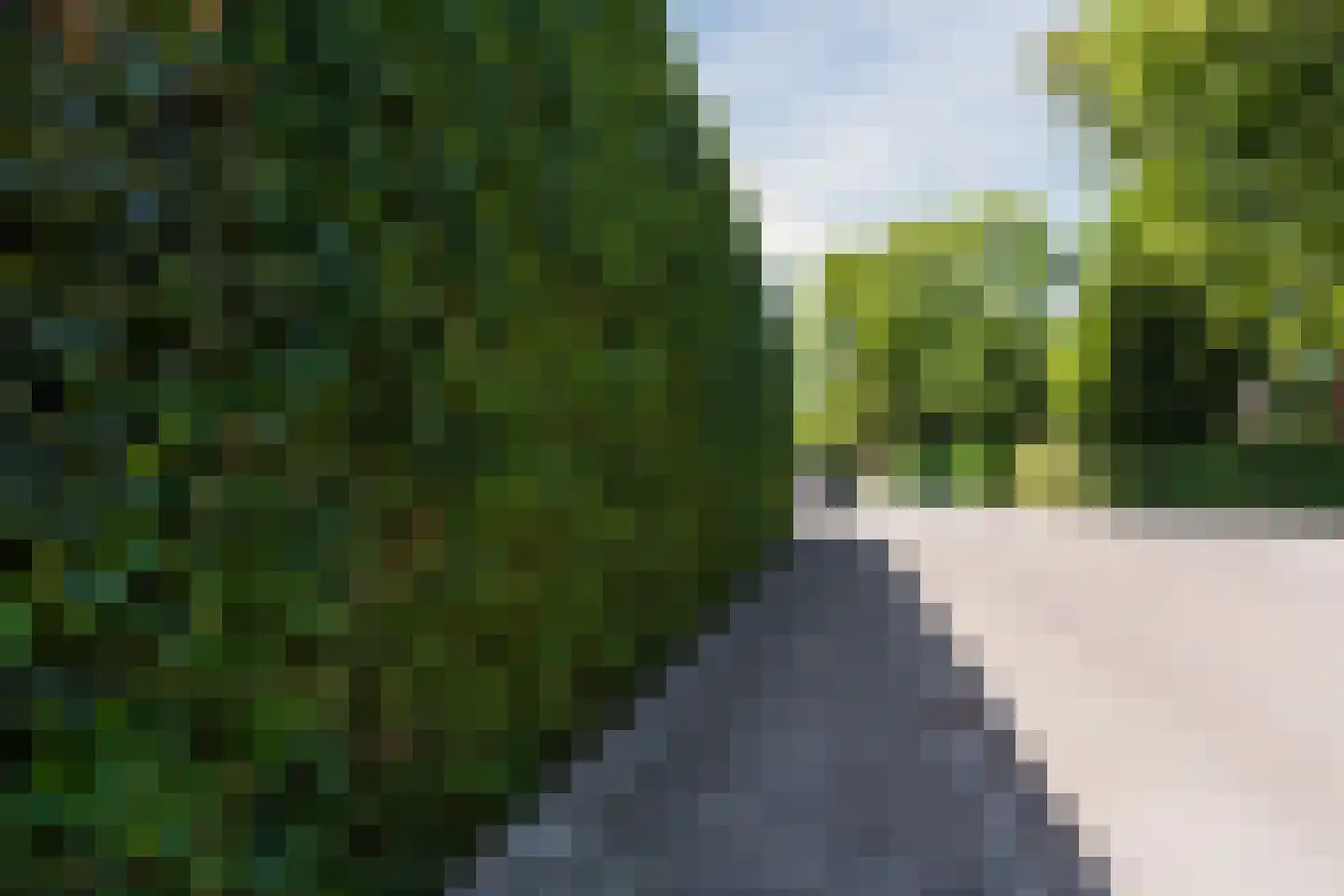 Molenakkers 5 Eersel thumbnail 93