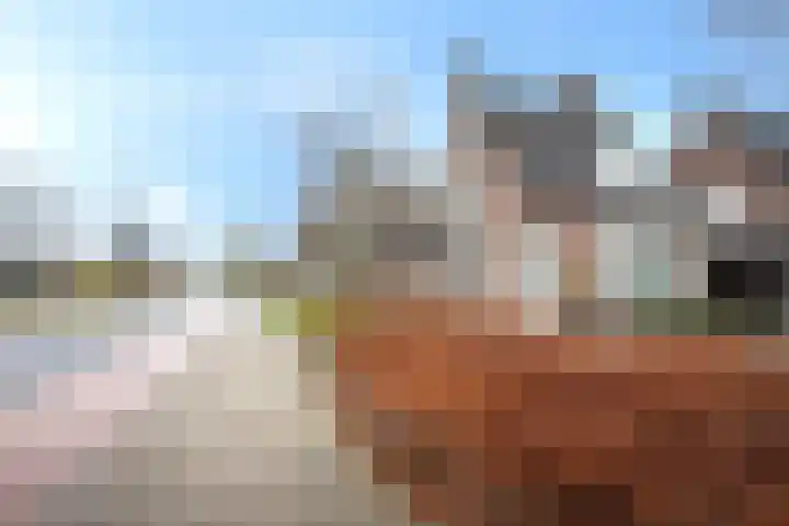 Molenakkers 70 Bergeijk thumbnail 18