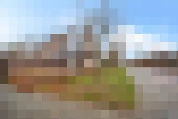 Molenakkers 70 Bergeijk thumbnail 19