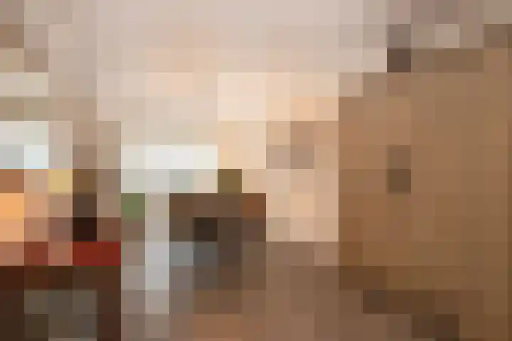 Molenakkers 70 Bergeijk thumbnail 7