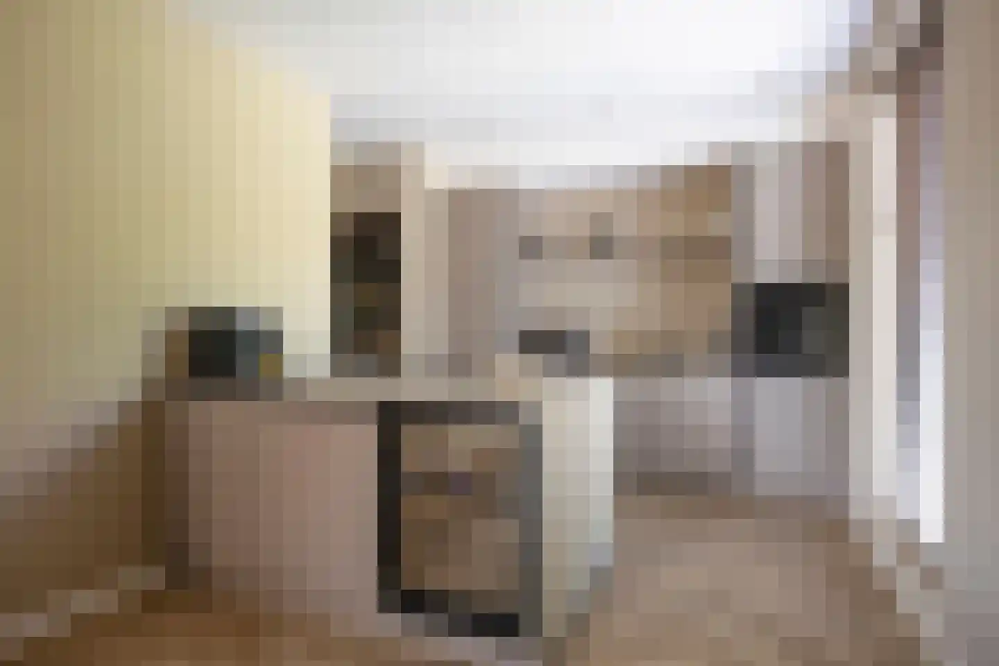 Molenakkers 8 Bergeijk thumbnail 19