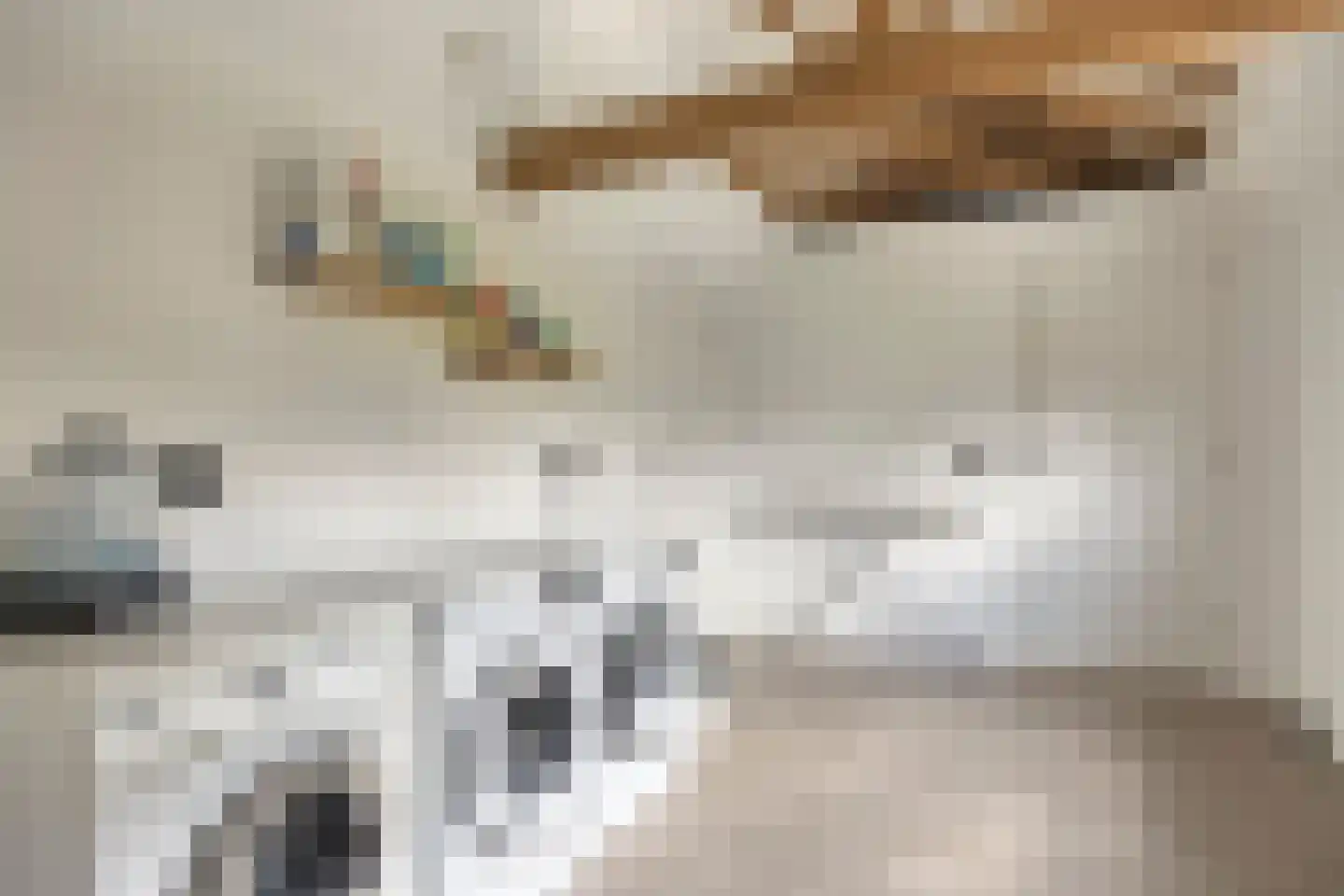 Molenakkers 8 Bergeijk thumbnail 32