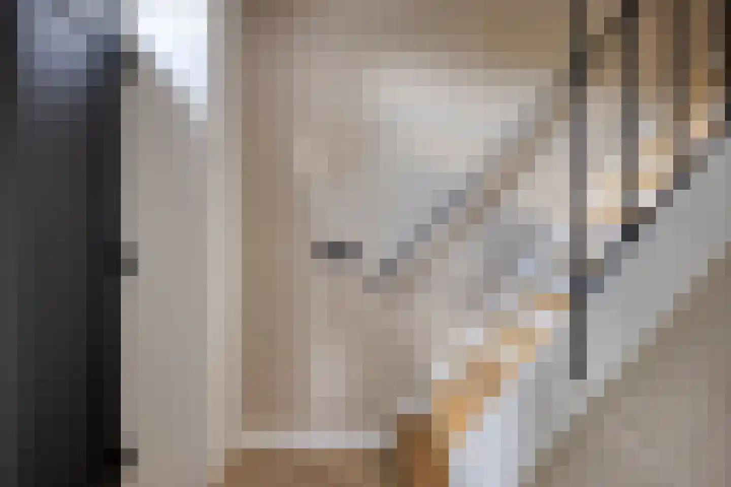 Molenakkers 8 Bergeijk thumbnail 36