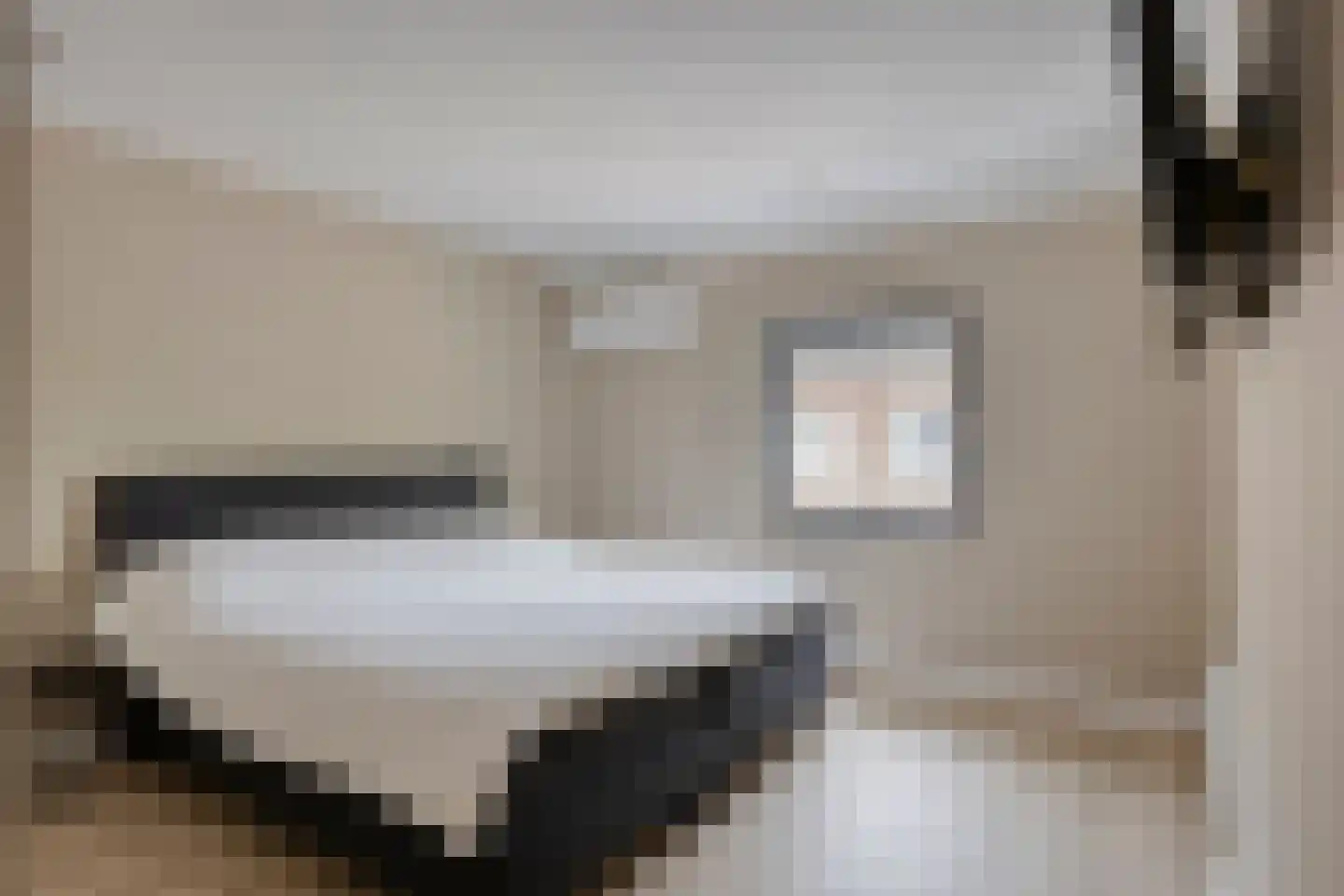 Molenakkers 8 Bergeijk thumbnail 37