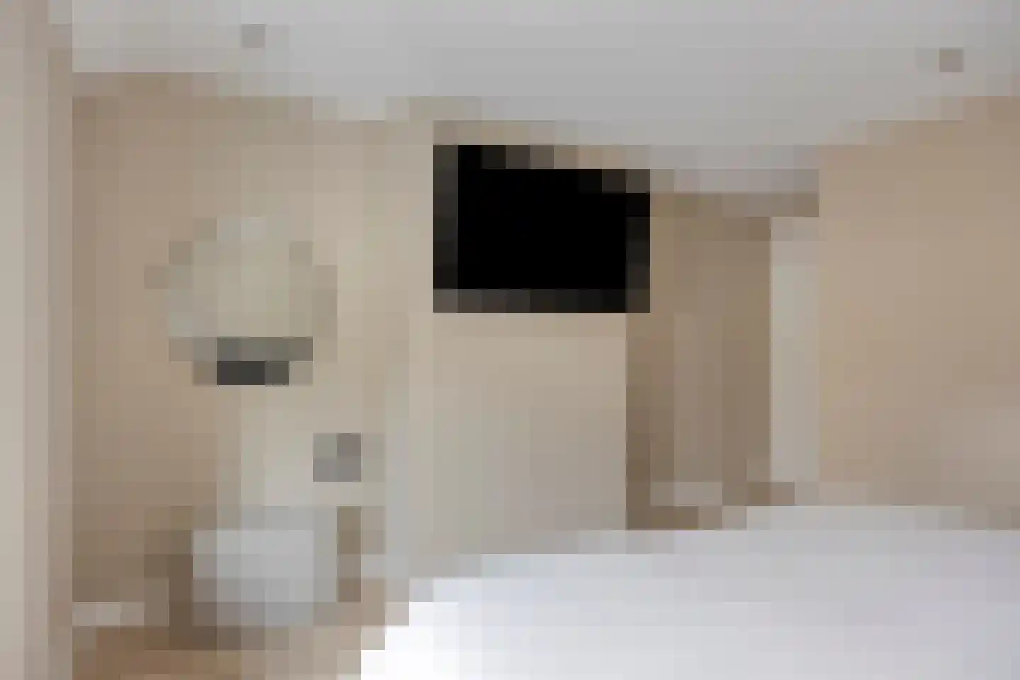Molenakkers 8 Bergeijk thumbnail 40