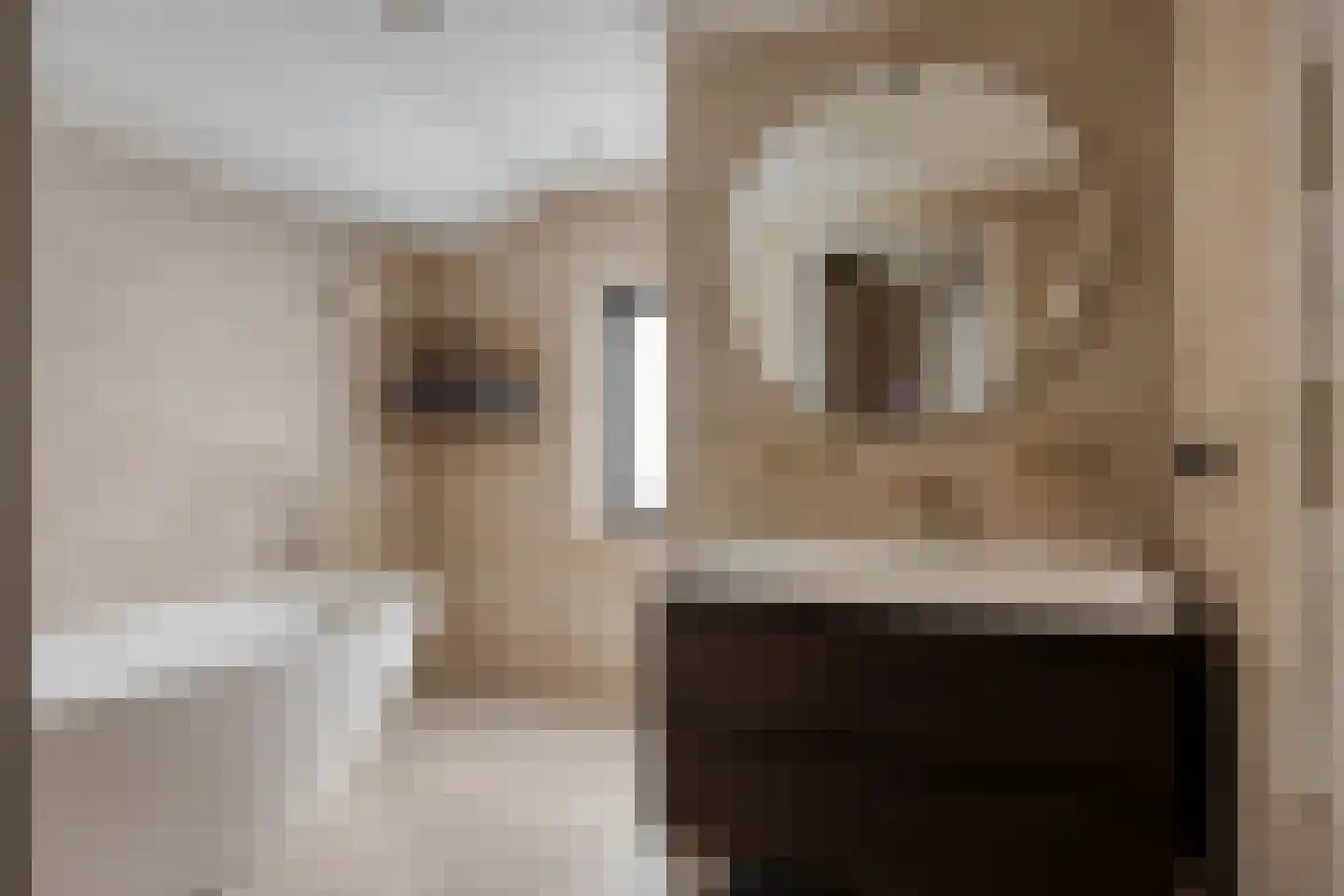 Molenakkers 8 Bergeijk thumbnail 48
