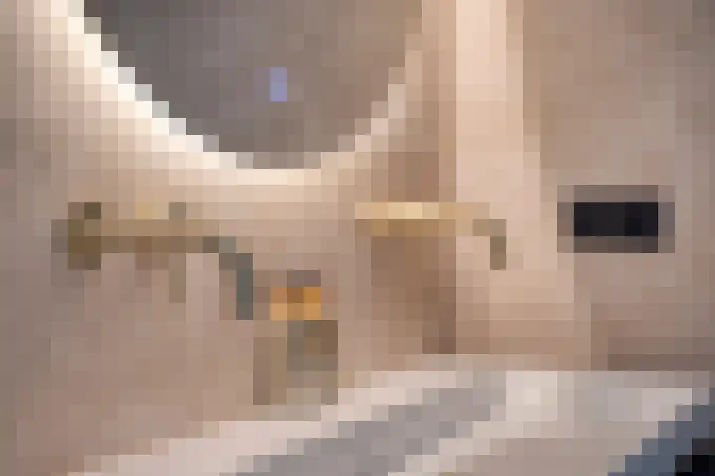 Molenakkers 8 Bergeijk thumbnail 51
