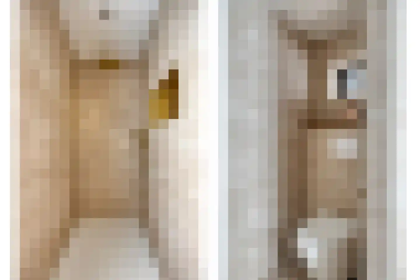 Molenakkers 8 Bergeijk thumbnail 52
