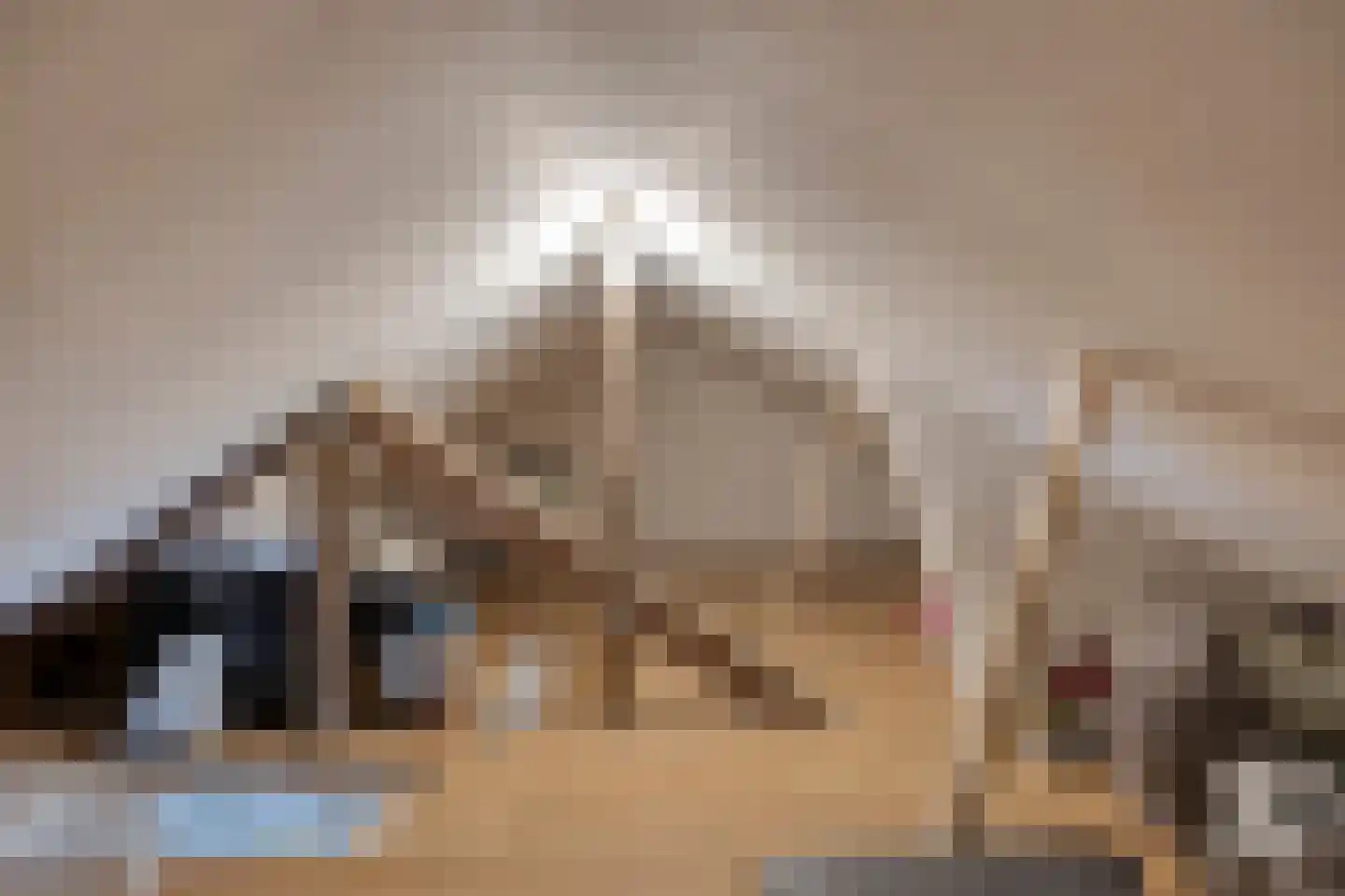 Molenakkers 8 Bergeijk thumbnail 54