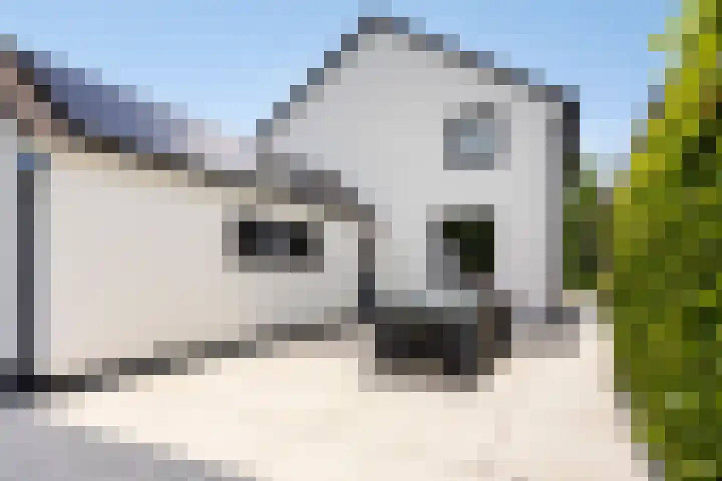 Molenakkers 8 Bergeijk thumbnail 57