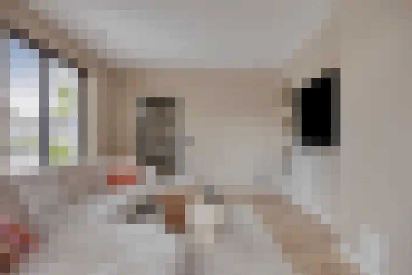 Molenakkers 8 Bergeijk thumbnail 9