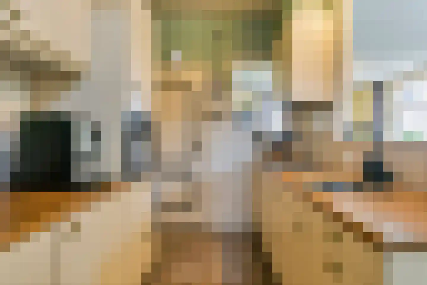 Molenallee 32 Wilp thumbnail 14