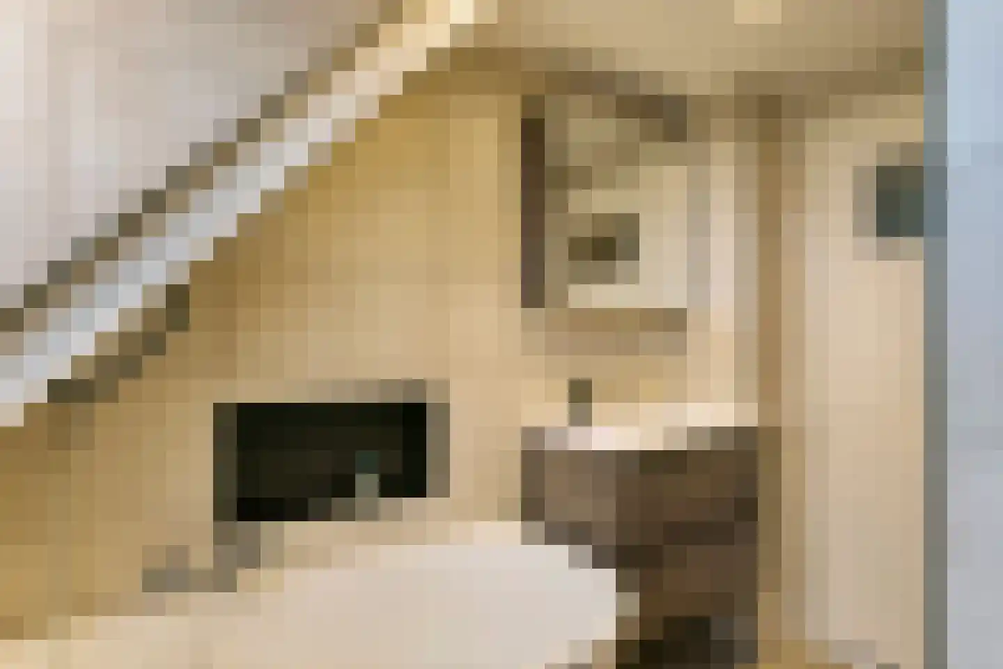 Molenallee 32 Wilp thumbnail 26