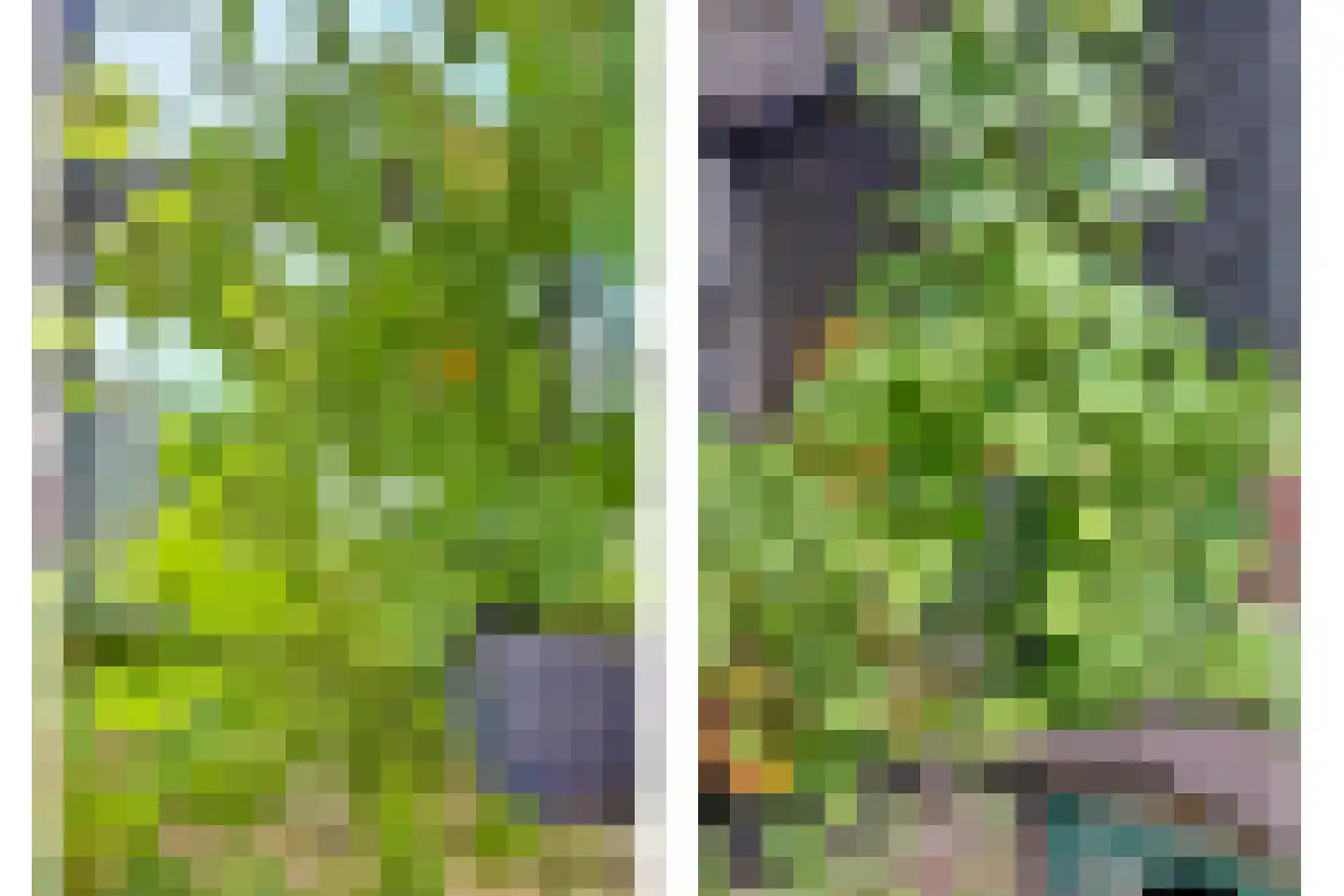 Molenallee 32 Wilp thumbnail 40