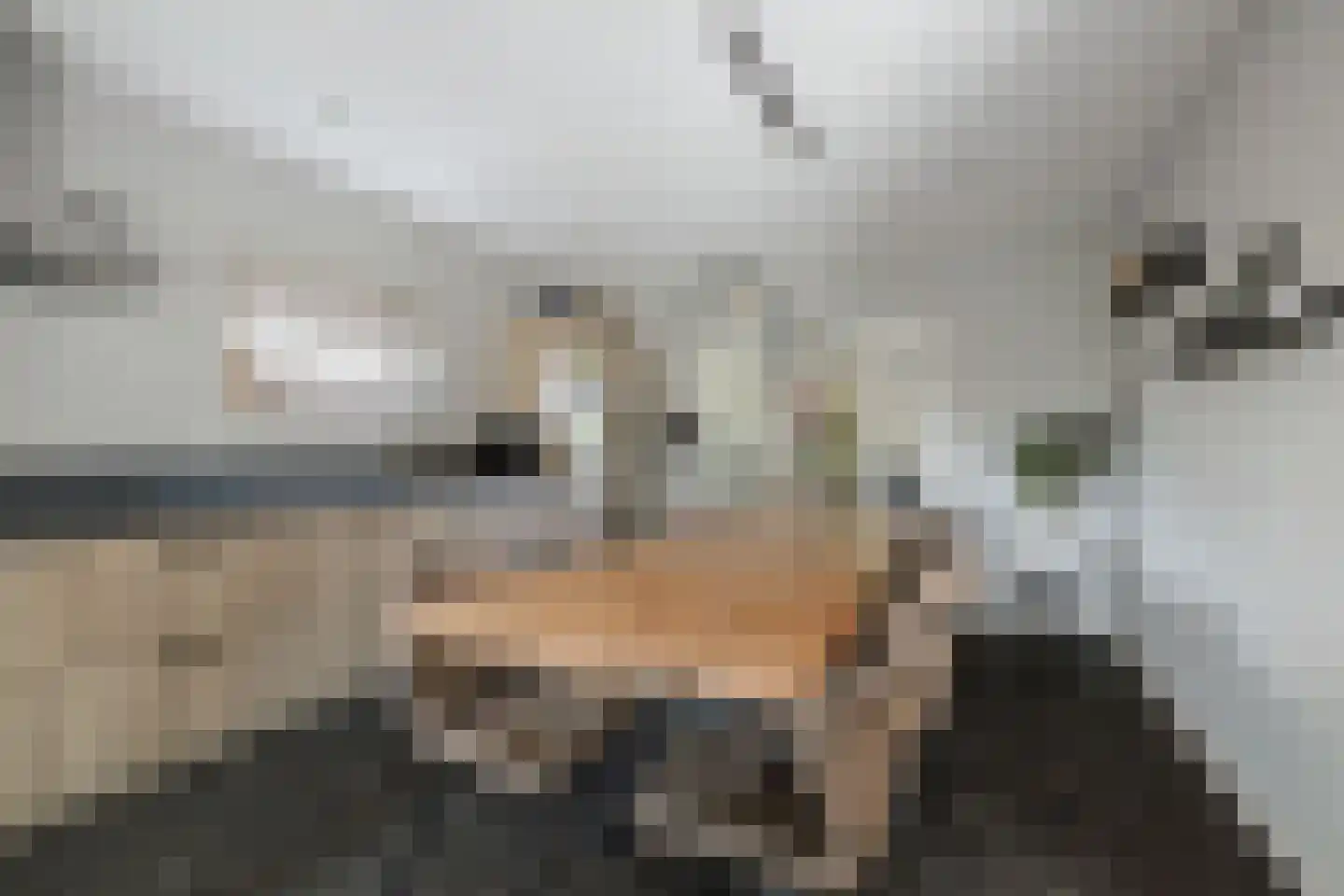 Molenallee 34 B Wilp thumbnail 11