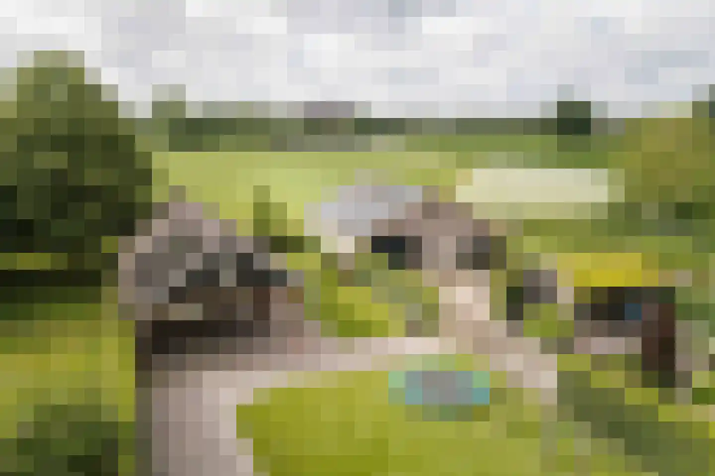 Molenallee 34 B Wilp thumbnail 32