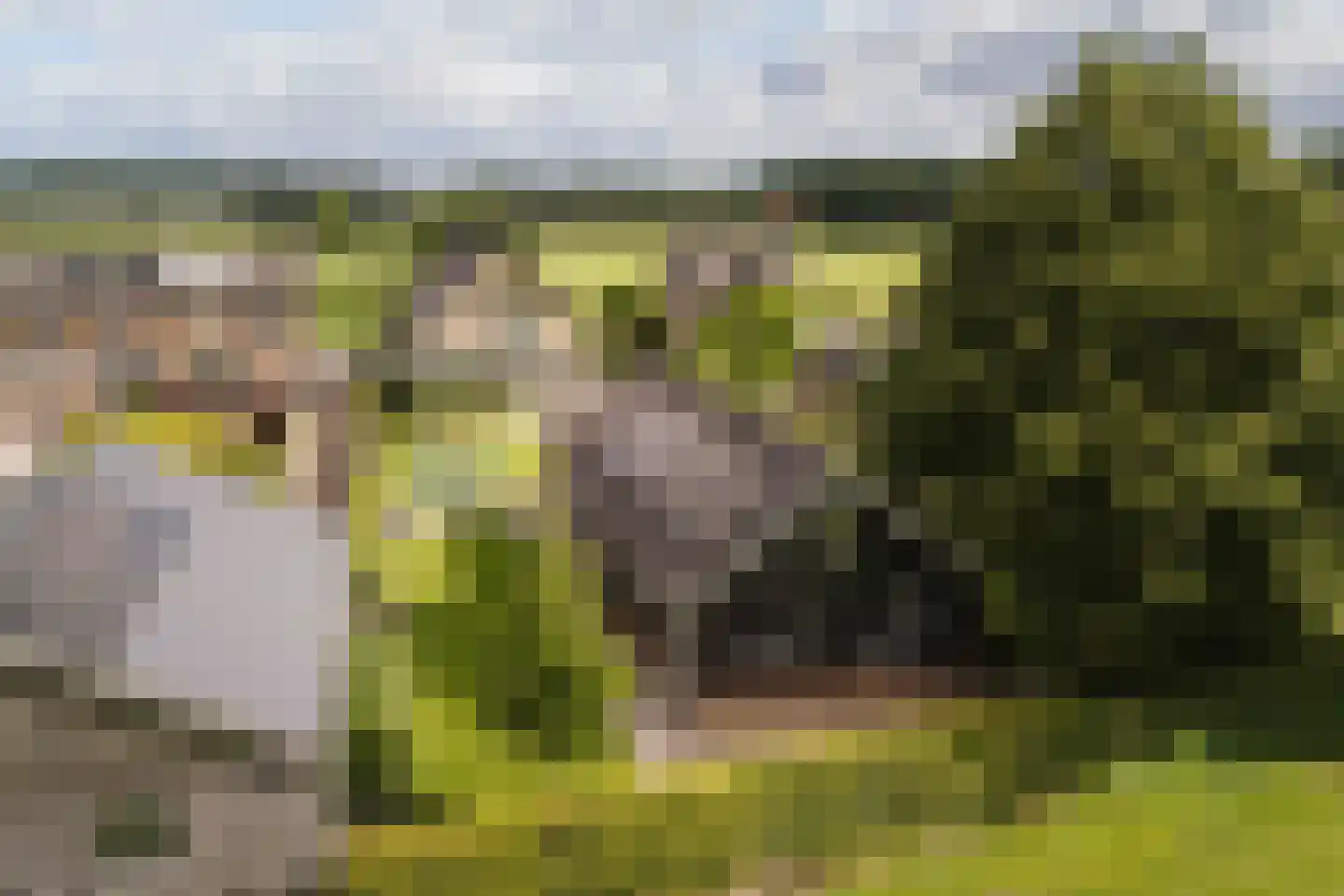 Molenallee 34 B Wilp thumbnail 37