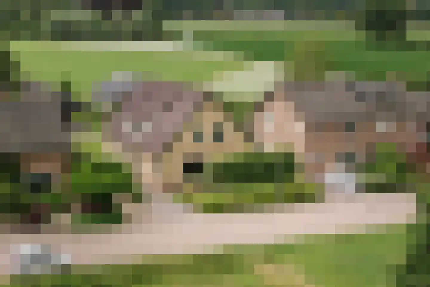 Molenallee 34 B Wilp thumbnail 38