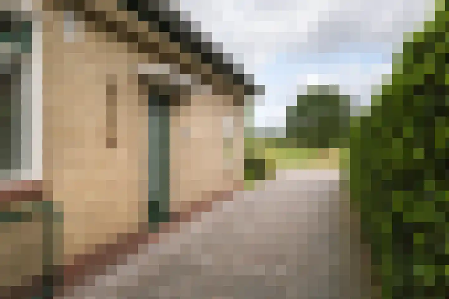Molenallee 34 B Wilp thumbnail 39