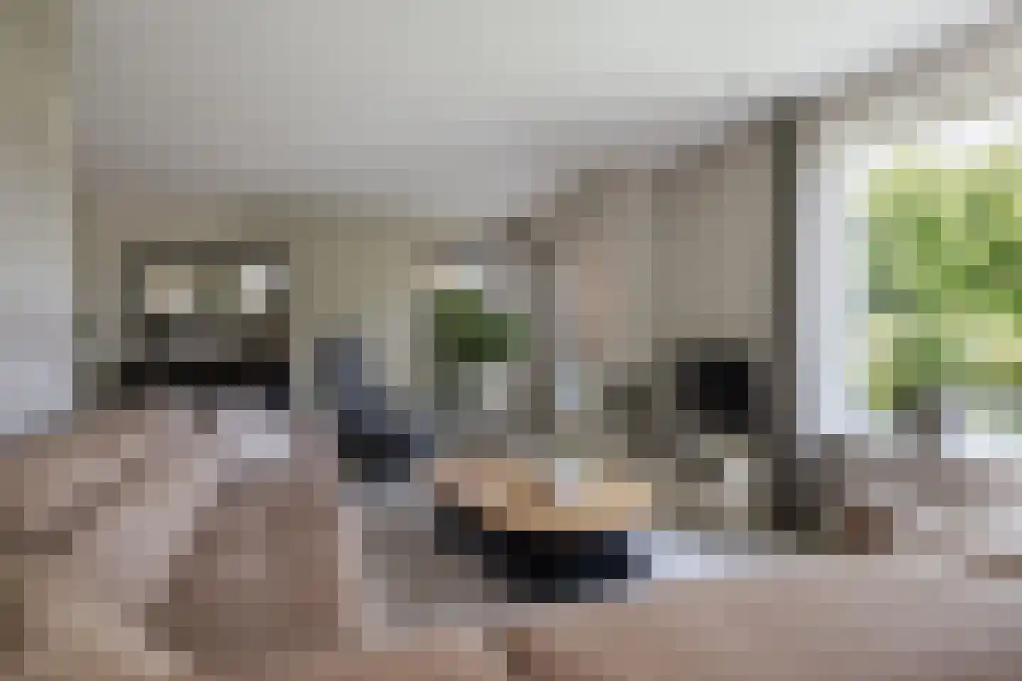 Molenallee 34 B Wilp thumbnail 7